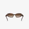 Wilmington Sunglasses
